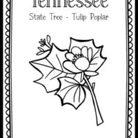 Tennessee â the art kit