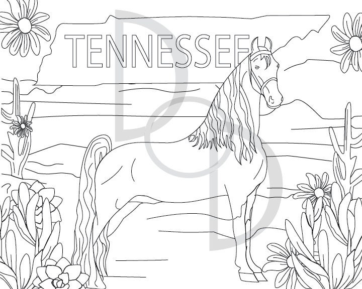 Tennesse walking horse coloring sheet digital downloadprintable