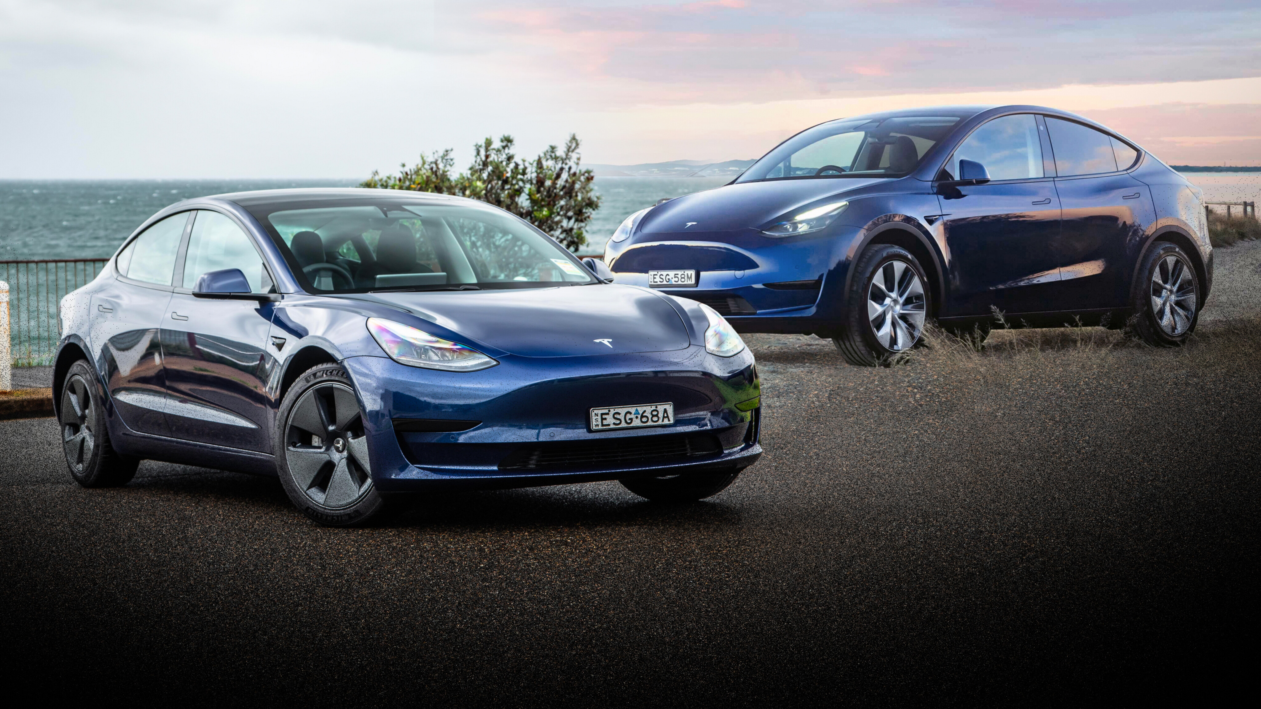 Tesla model y vs tesla model parison review