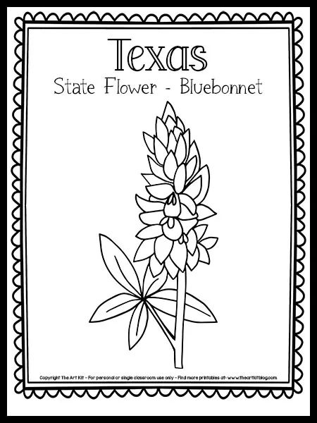 Texas coloring page â state flower the bluebonnet free printable â the art kit