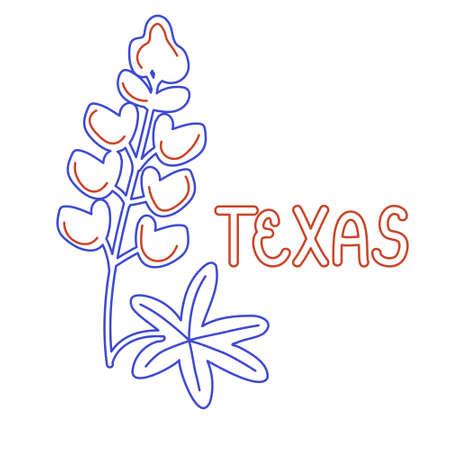 Lupine flowers texas cliparts stock vector and royalty free lupine flowers texas illustrations
