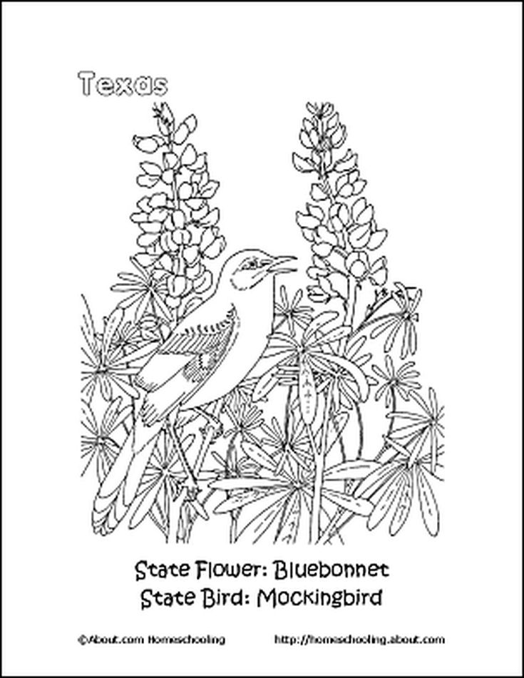 Learn about texas with these free printables texas geography history worksheets texas symbols