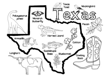 Texas state symbols by connecting with social studies tpt