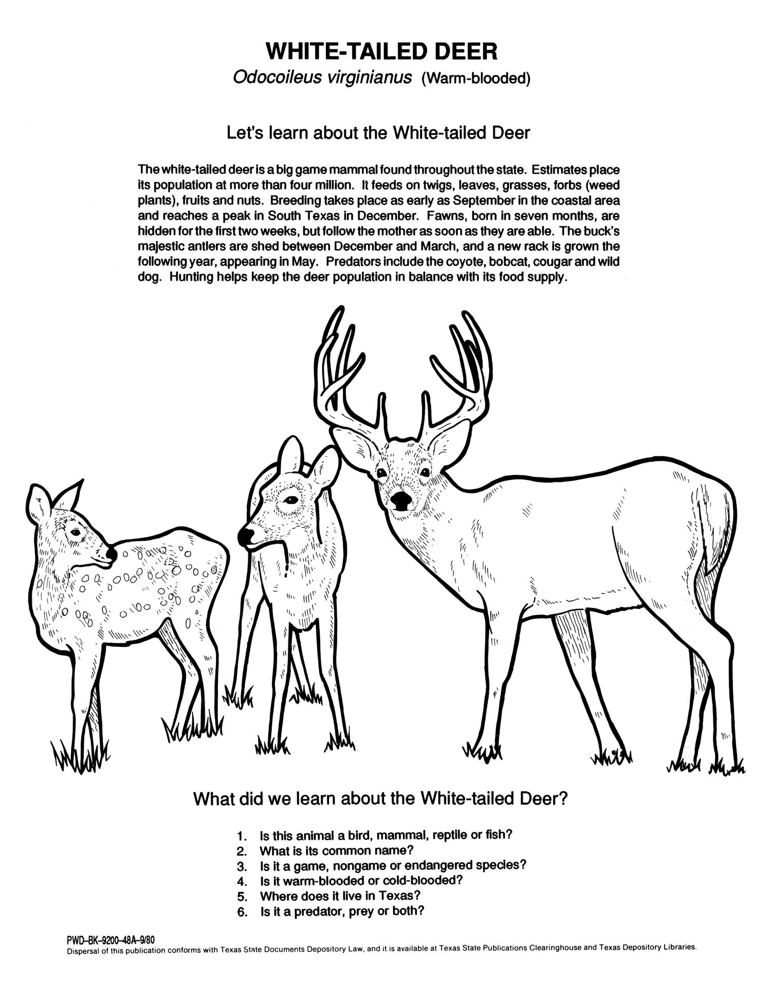 Texas wildlife coloring book