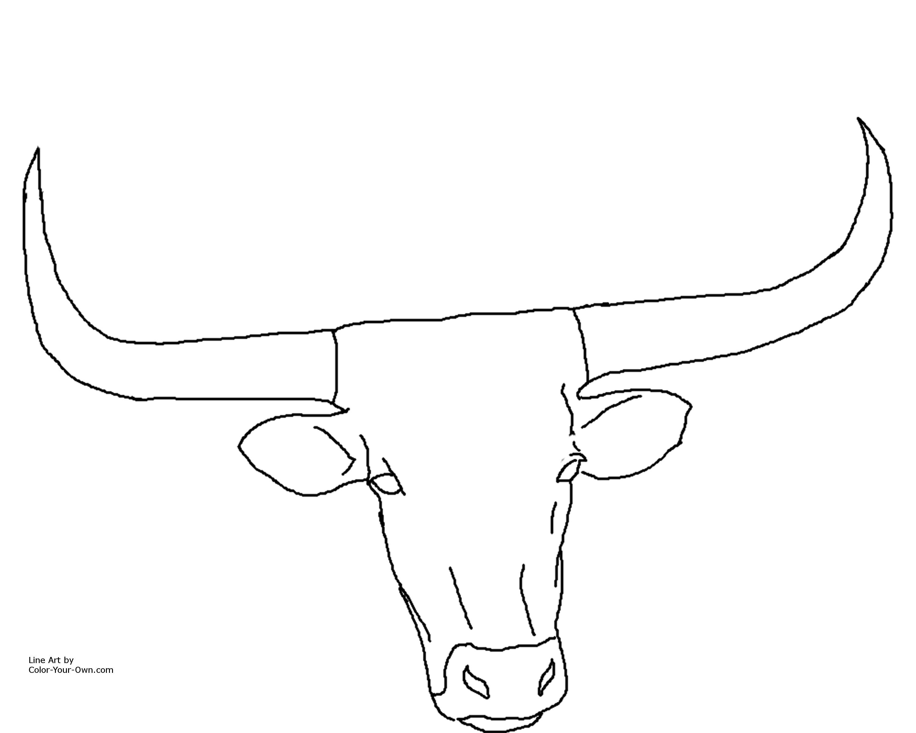 Longhorn cattle head coloring page
