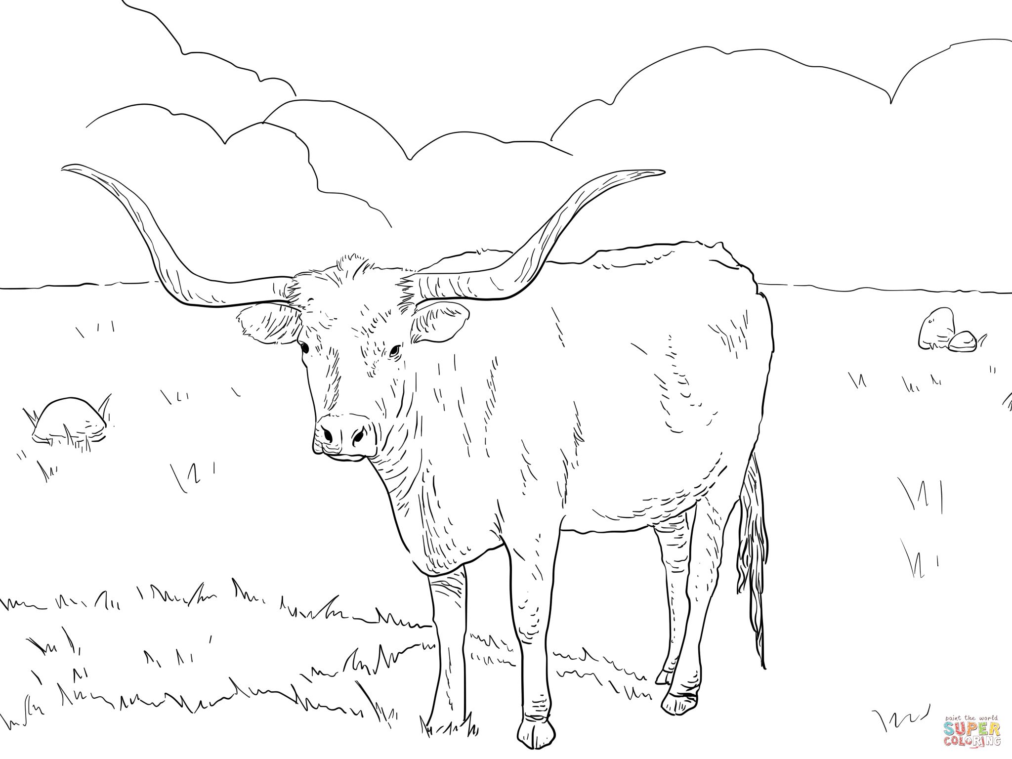 Texas longhorn cow coloring page free printable coloring pages cow coloring pages free printable coloring pages animal coloring pages