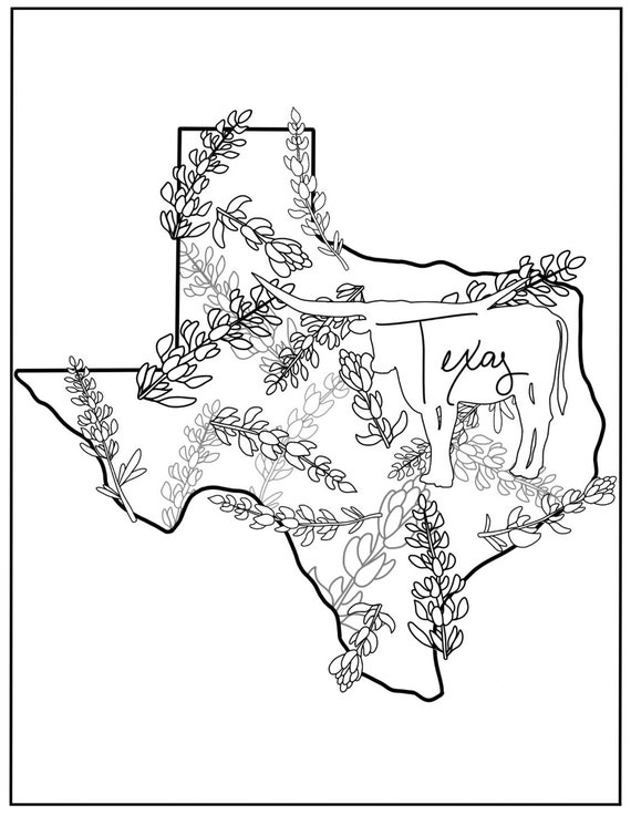 State coloring page texas flowers state flower animal state animal usa coloring pages digital download digital coloring pages