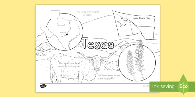 Texas state facts coloring page teacher made