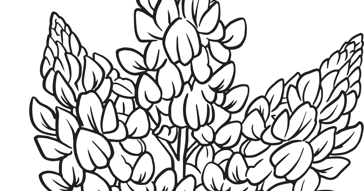 Download our printable wildflower coloring pages