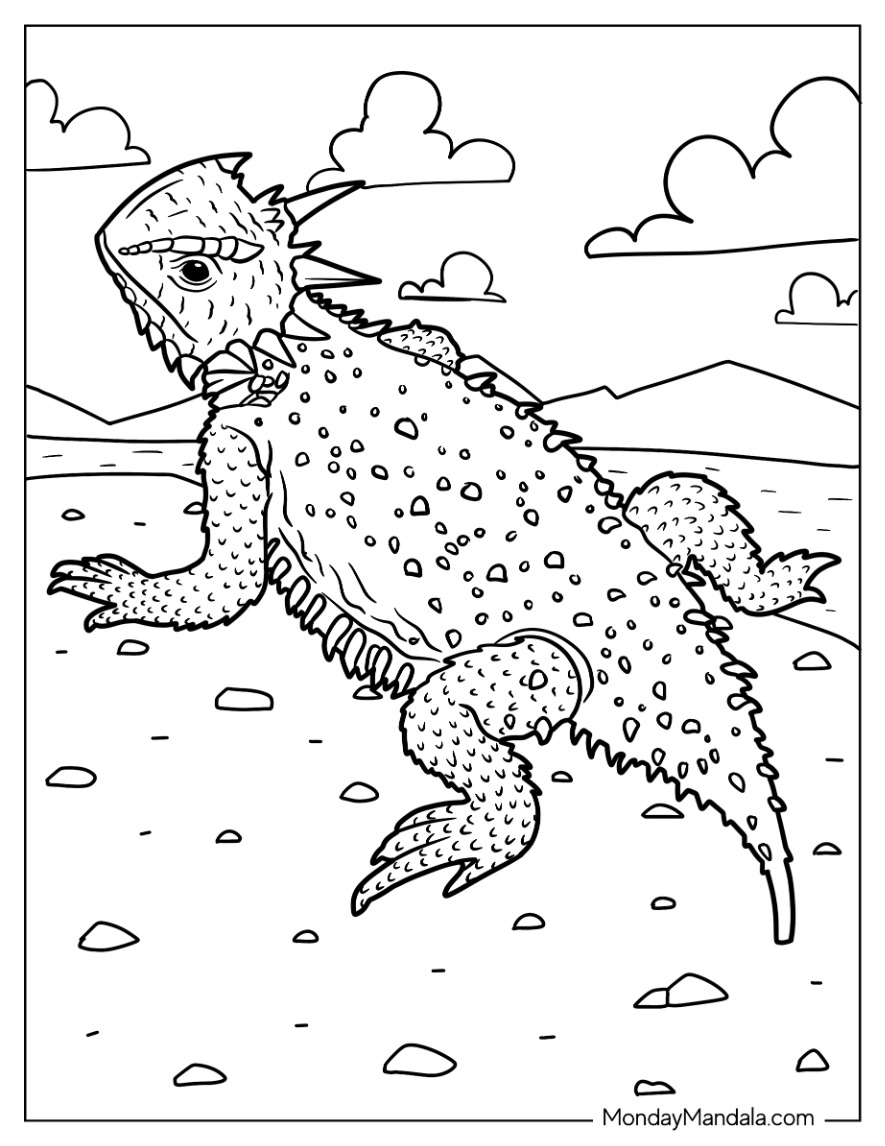Lizard coloring pages free pdf printables