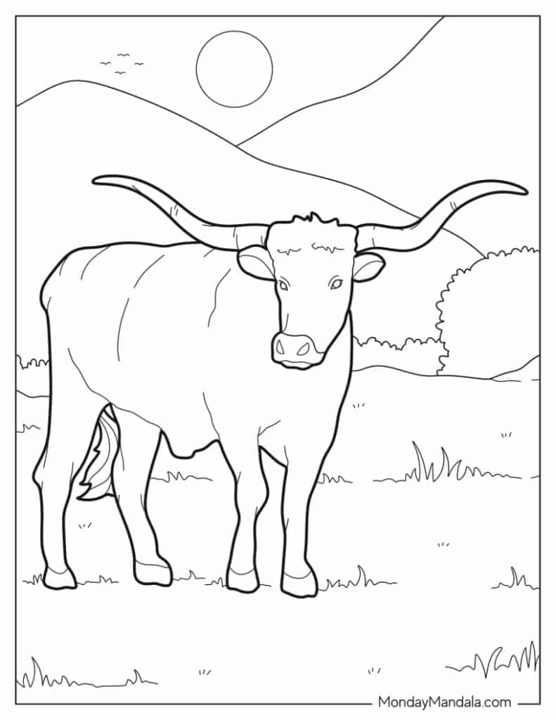 Bull coloring pages free pdf printables
