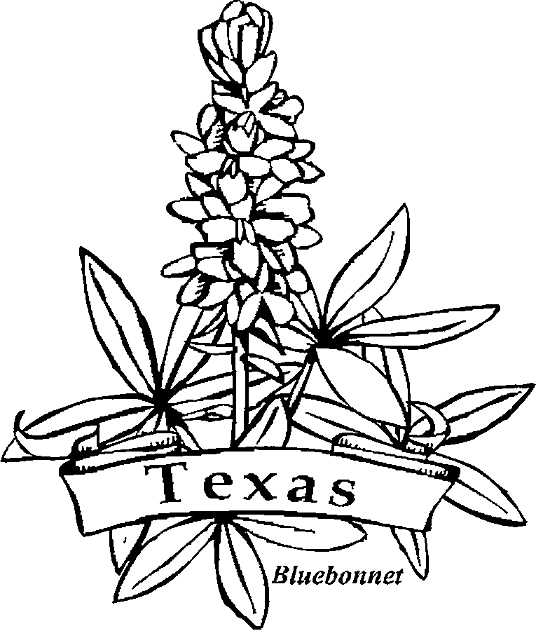 Texas coloring pages printable for free download