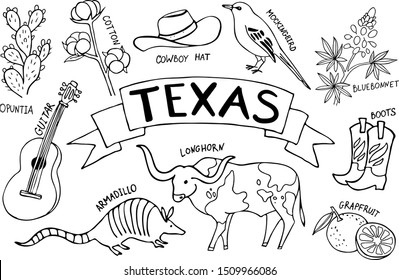 Texas state flower drawing illustrations vectors