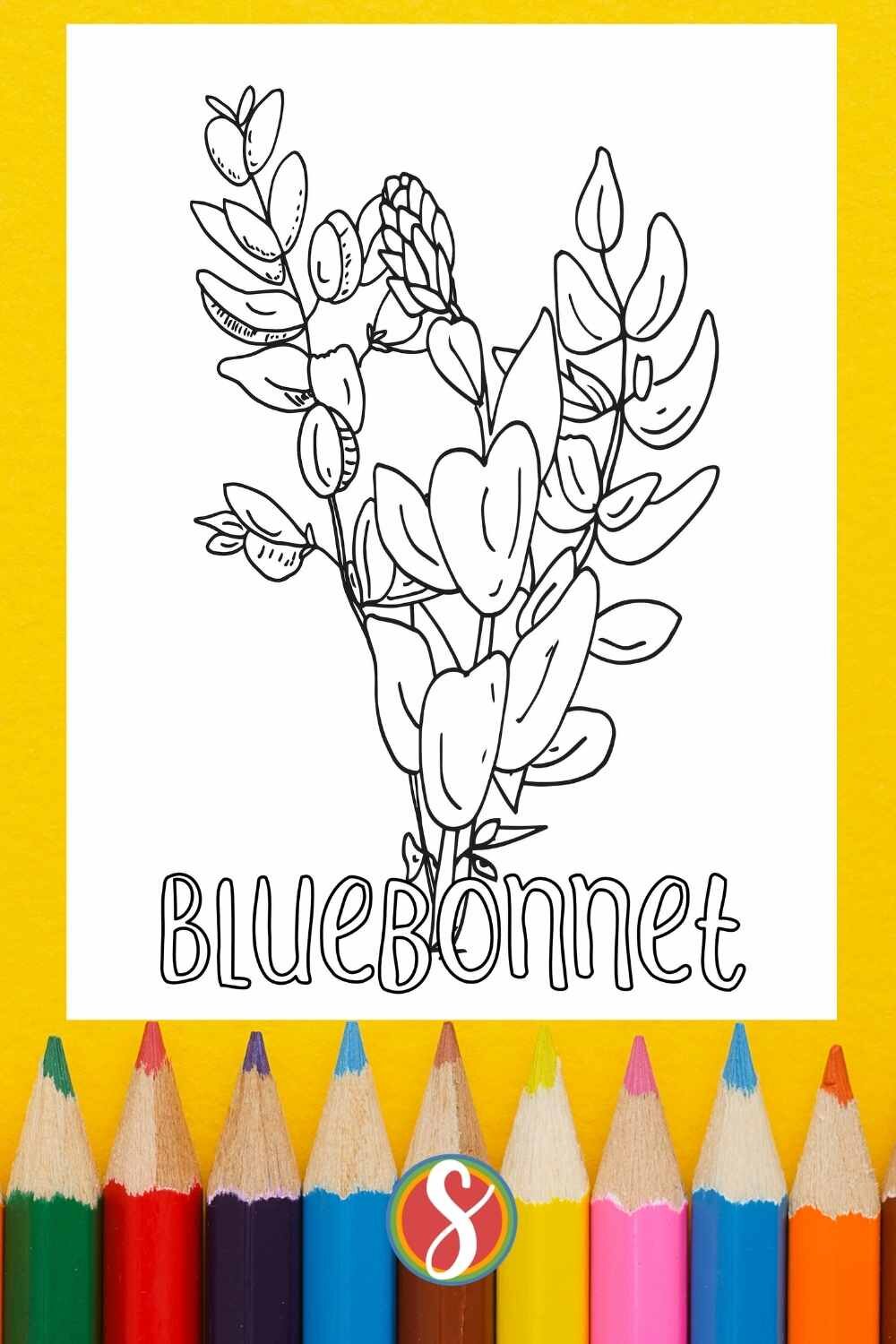 Free bluebonnet coloring pages â stevie doodles