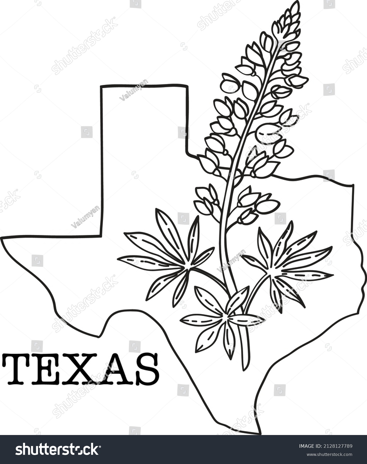 Texas map bluebonnet flower vector line stock vector royalty free