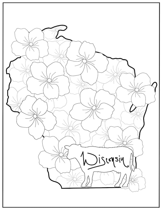 State coloring page wisconsin flowers state flower animal state animal usa coloring pages digital download digital coloring pages