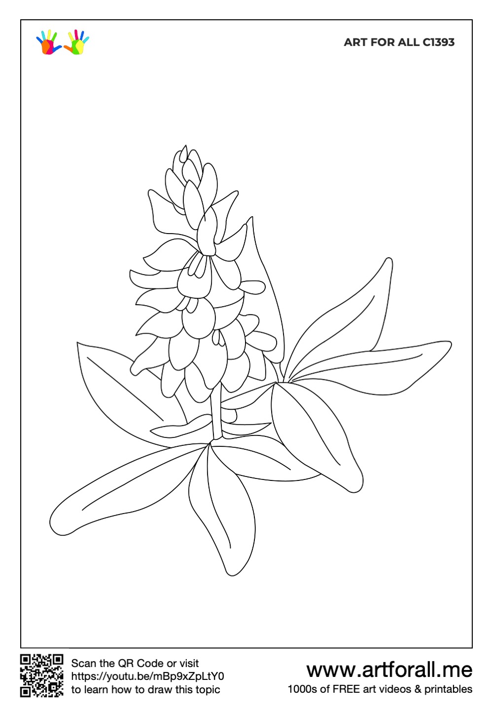 How to draw bluebonnet