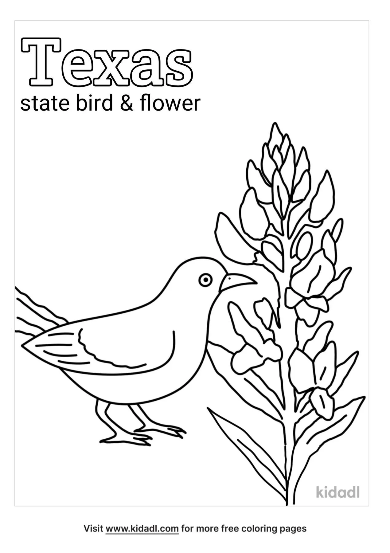 Free texas state bird and flower coloring page coloring page printables