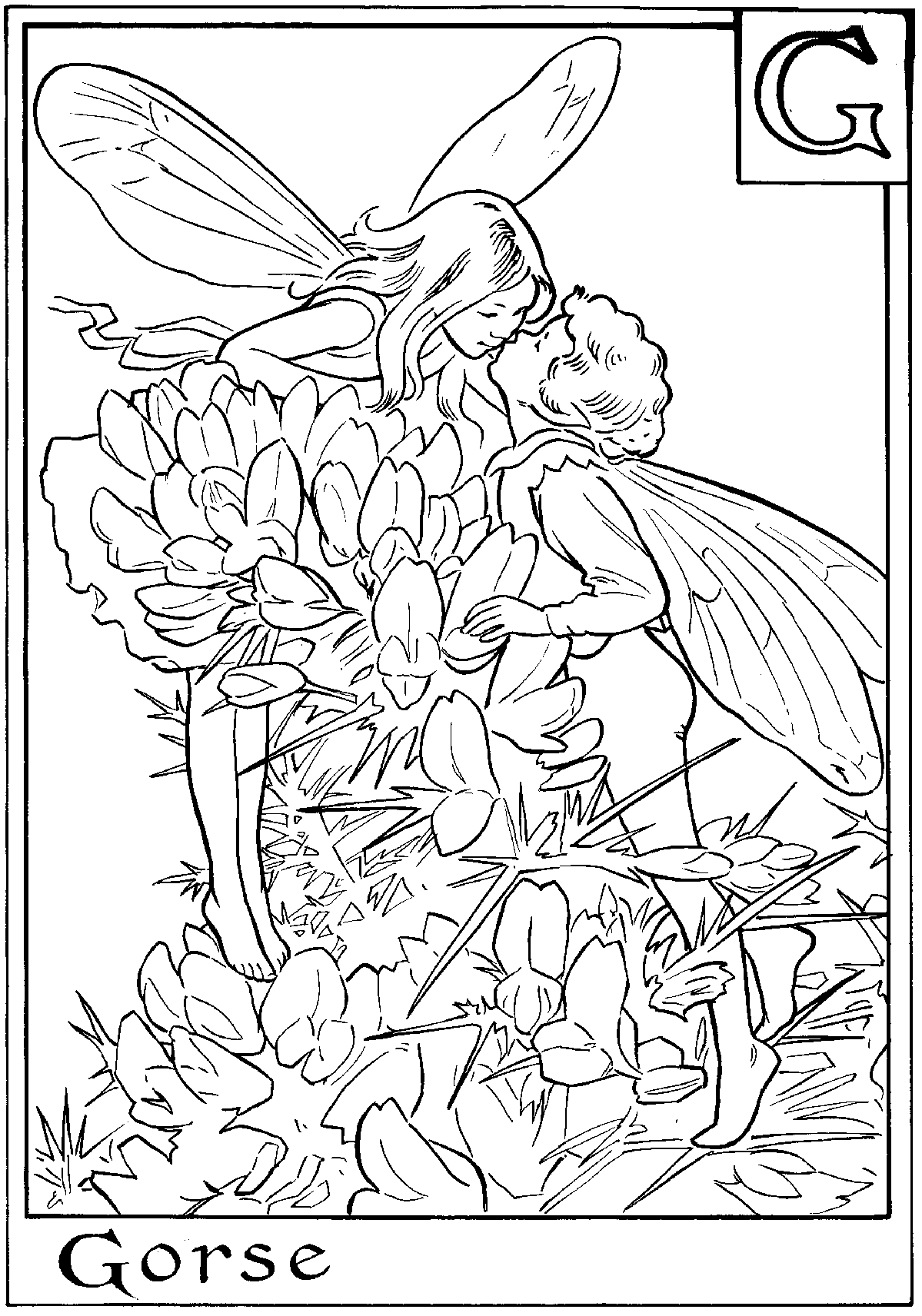 Flower fairies coloring pages