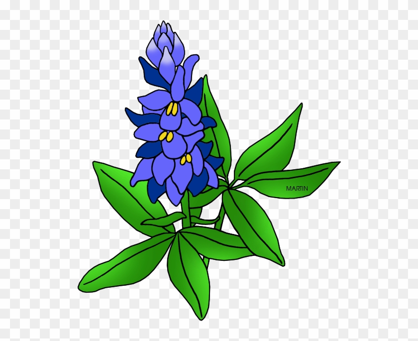 Bluebonnet clip art