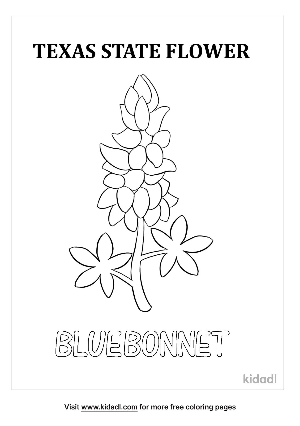 Free texas state flower coloring page coloring page printables