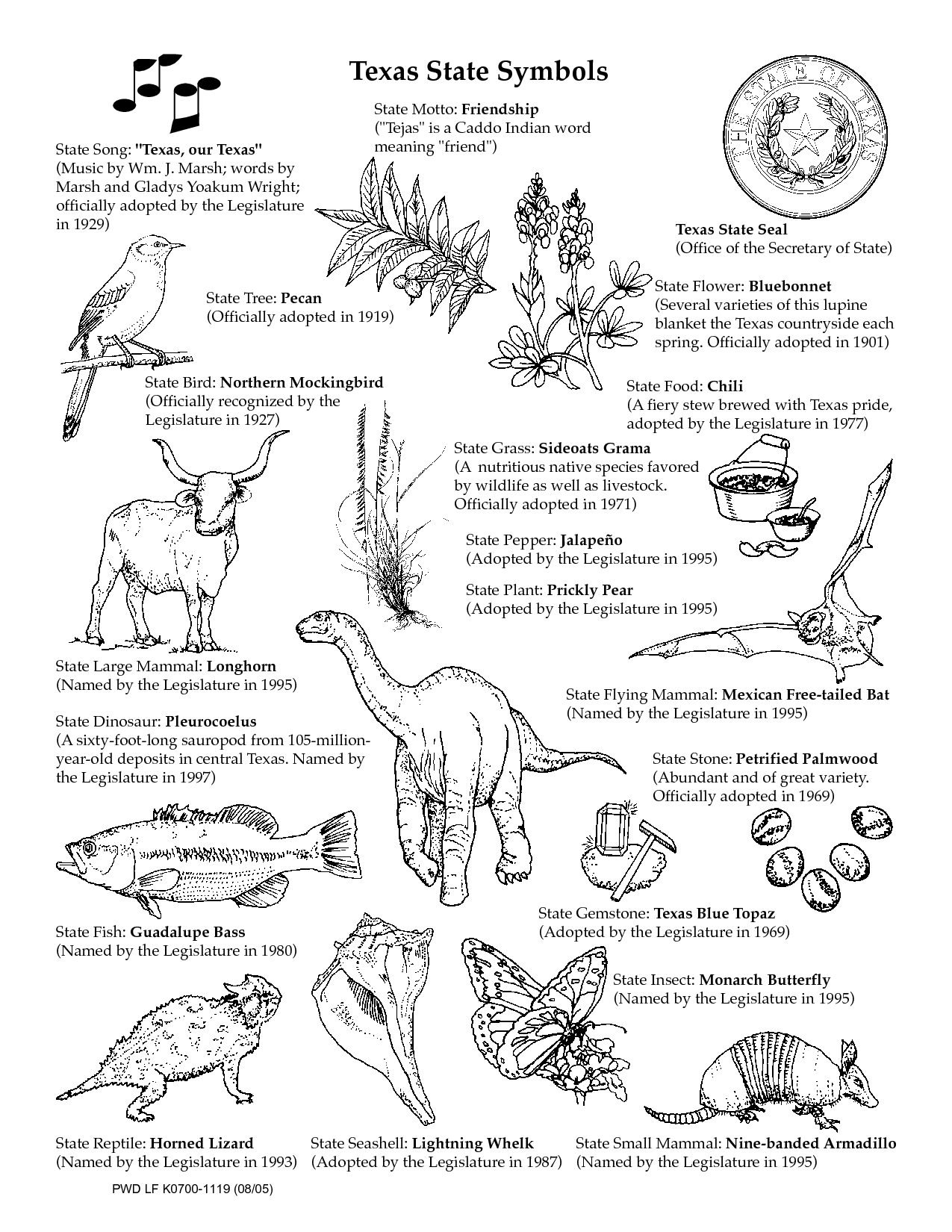 Texas symbols worksheets texas state symbols coloring pages texas symbols state symbols state symbols project