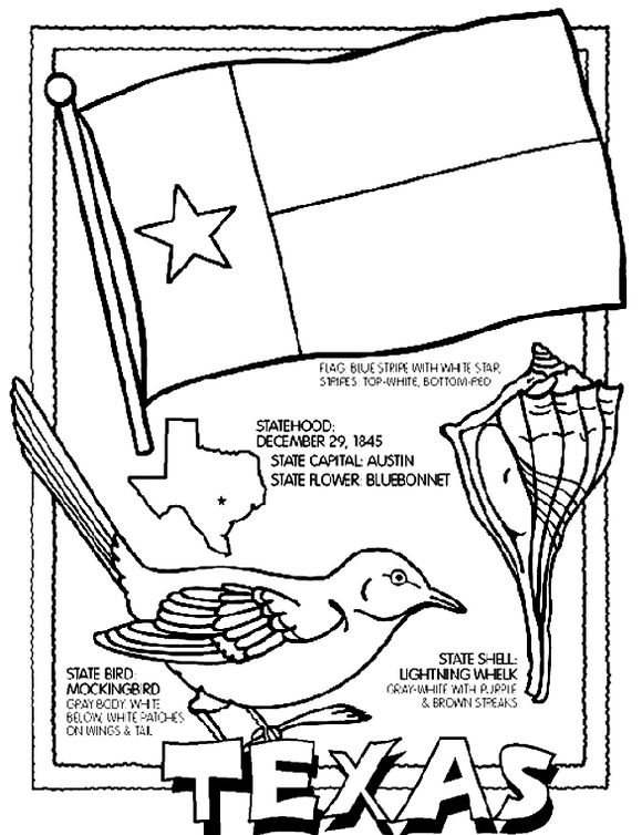 Texas symbol coloring pages teaching social studies homeschool social studies th grade social studies