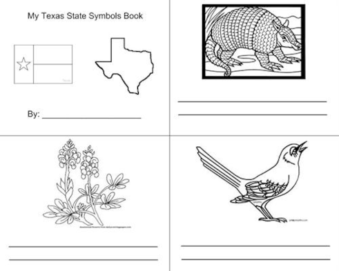 Texas state sybols book