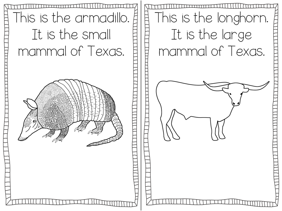 Texas symbols freebie teaching with haley oconnor