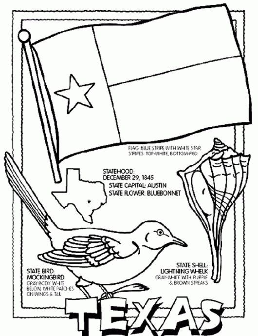 Texas symbol coloring pages