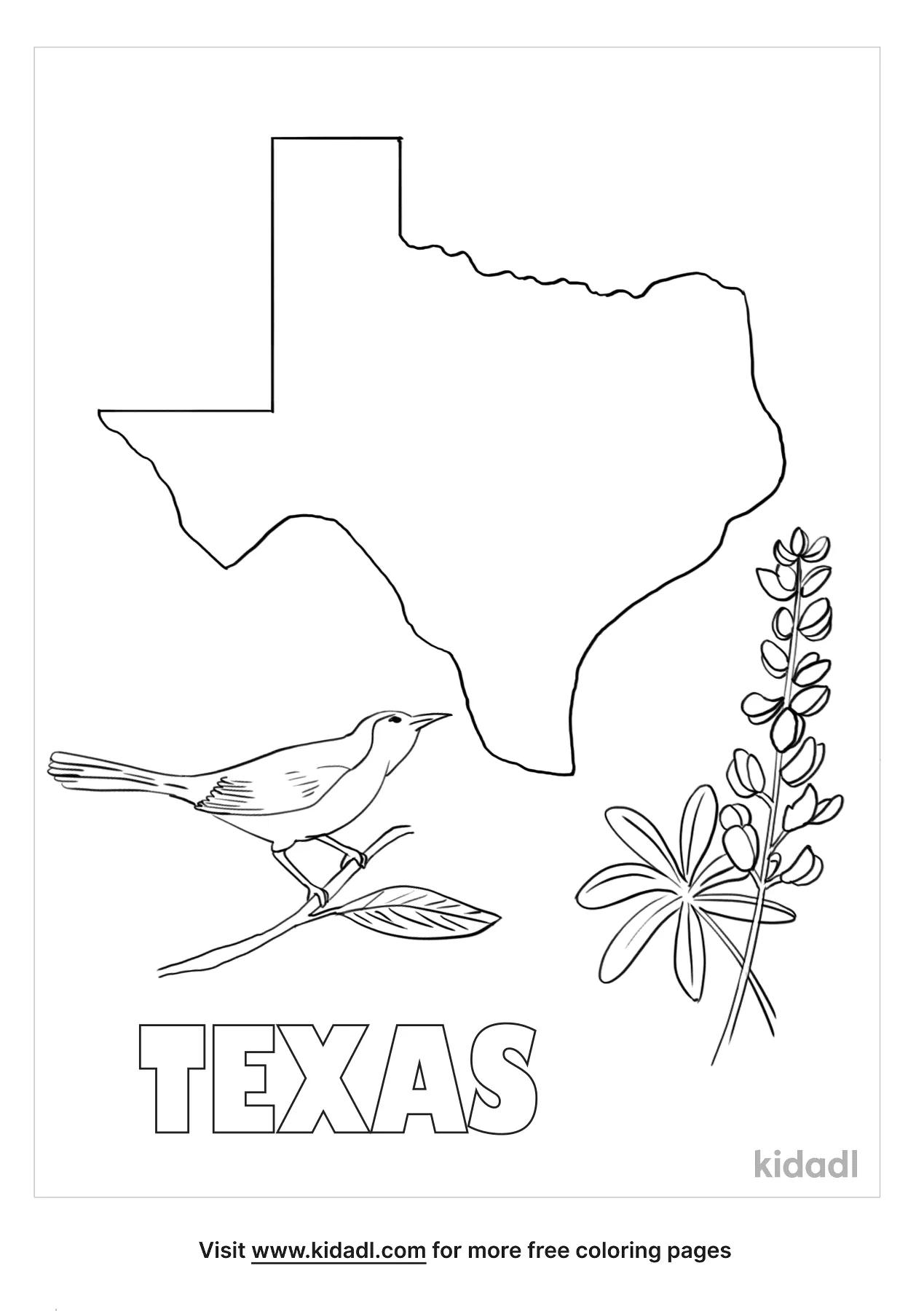 Free texas state symbols coloring page coloring page printables