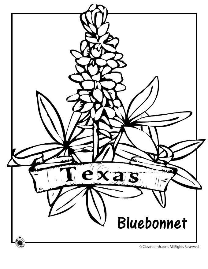 Texas state flower coloring page woo jr kids activities childrens publishing flower coloring pages flag coloring pages texas symbols