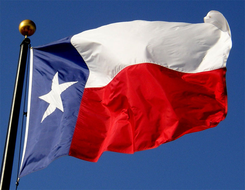 Texas state symbols bullock texas state history museum