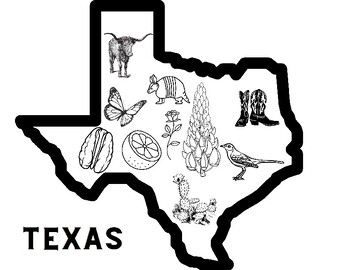 Texas symbols coloring page by virtual kinder mama tpt