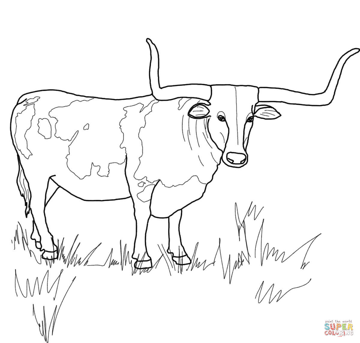 Texas longhorn steer coloring page free printable coloring pages