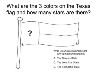 Texas symbols p