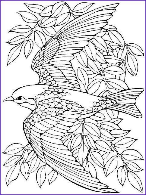 Cute bird coloring page bird coloring pages coloring pages coloring book pages