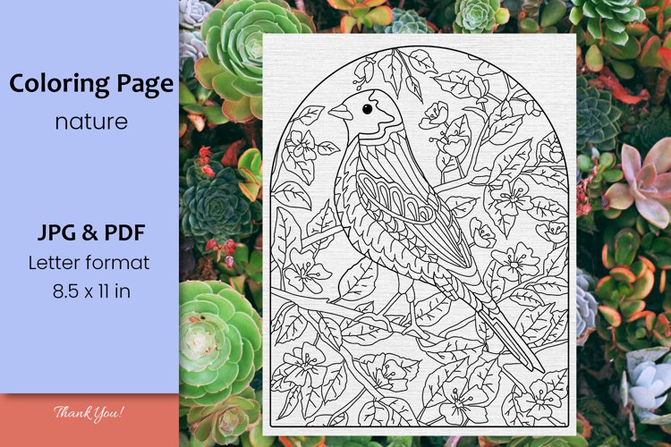 Spring coloring page with bird in blooming branch pdf jpg