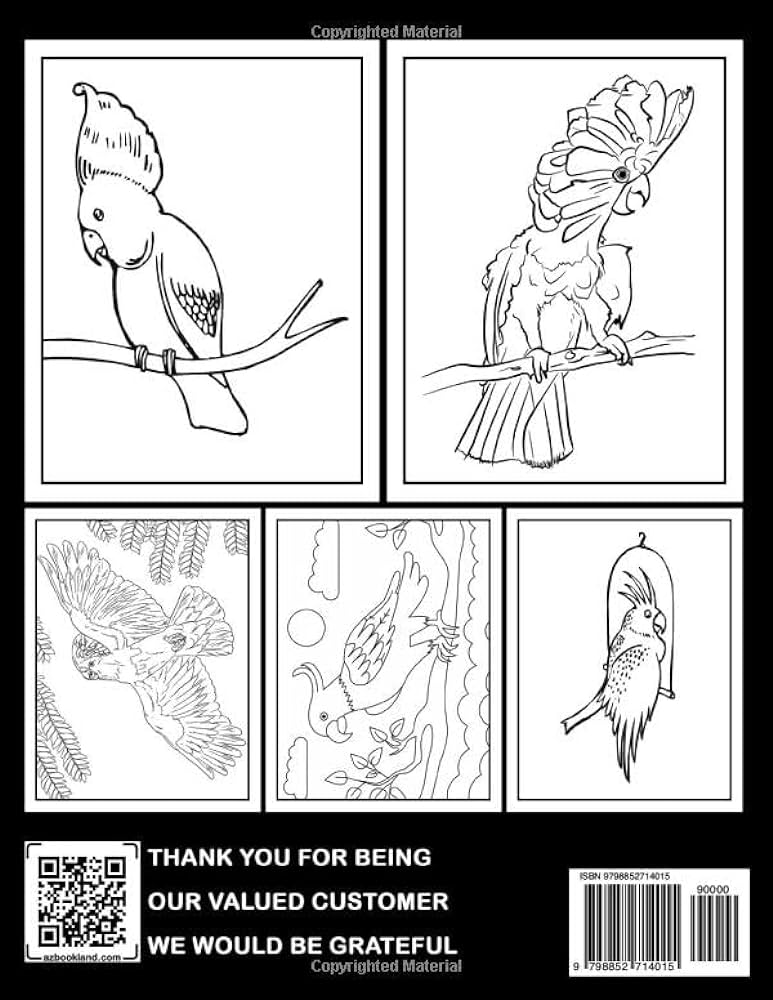 Cockatiels coloring book tropical animal coloring pages for bird enthusiasts to unwind and create with special gift options perfect for white elephant exchanges winter beau books