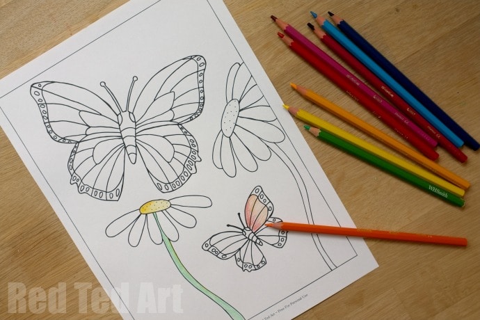 Free butterfly colouring pages for spring summer