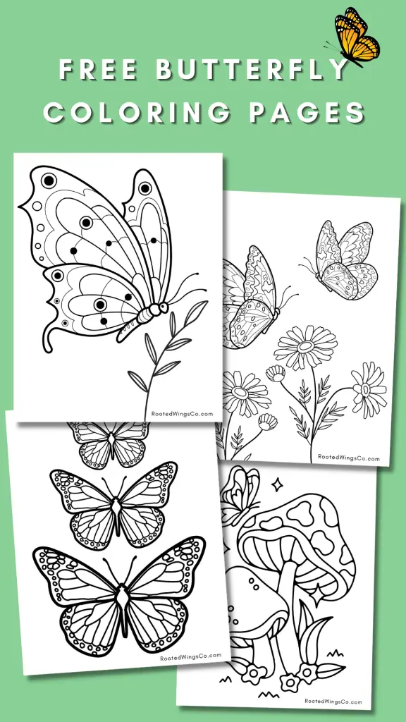 Free butterfly coloring pages