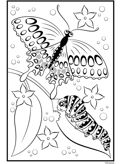 Free printable butterfly coloring pages