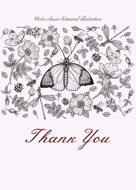 Page thank you card drawing vectors illustrations for free download