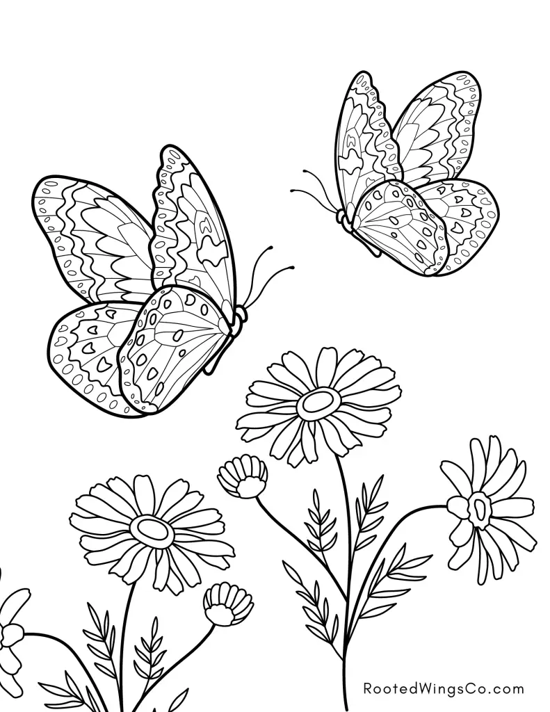 Free butterfly coloring pages