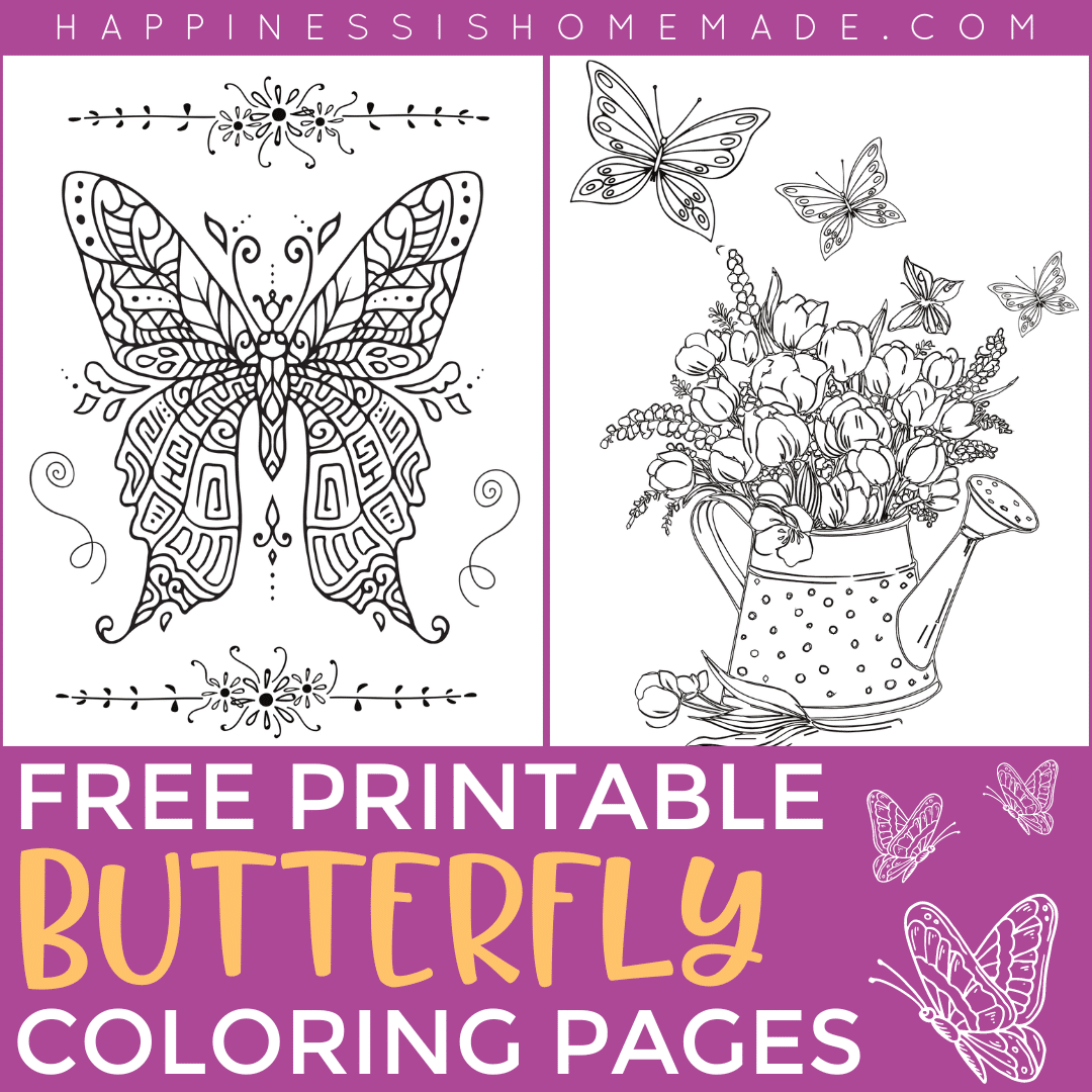 Free printable butterfly coloring pages