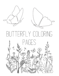 Free butterfly coloring pages to print now