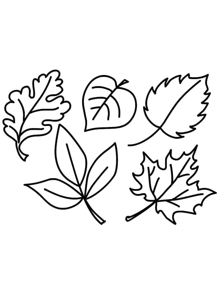 Cute fall leaves coloring page