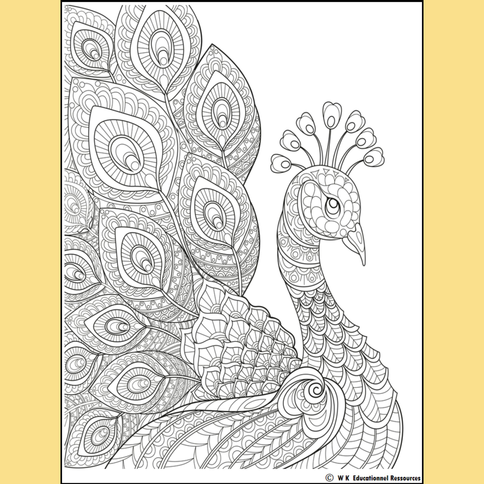 Thanksgiving mindful mandala coloring sheets affirmation cute gratitude messages made by teachers