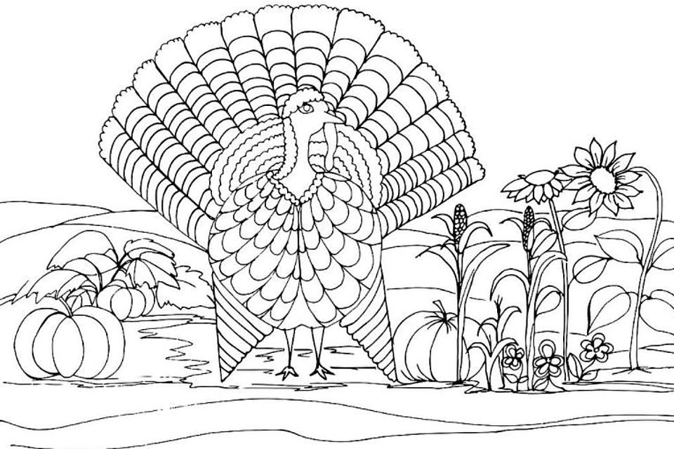 Turkey coloring pages free fun printable coloring activity pages of turkeys for thanksgiving printables mom