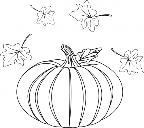 Pumpkin coloring page